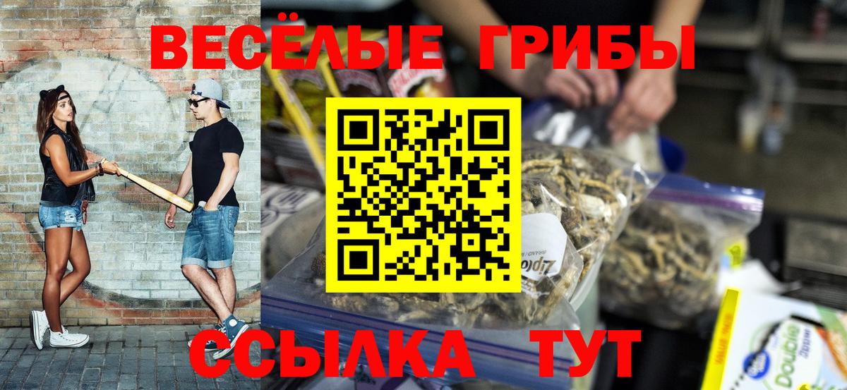 Псилоцибиновые грибы MAGIC MUSHROOMS Химки